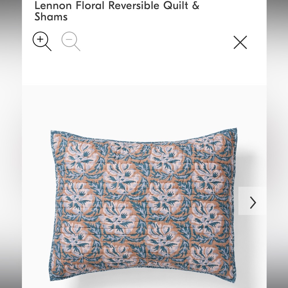 West Elm King Shams